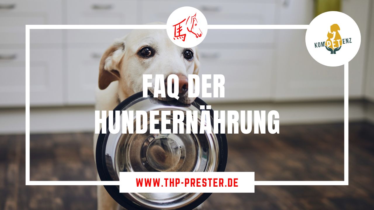 Video Placeholder